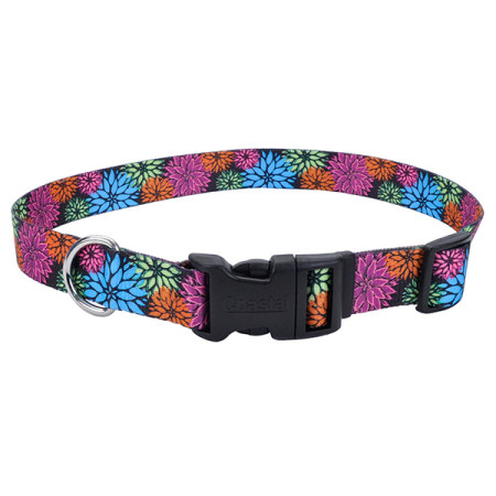 Coastal Pet Attire Styles КОСТАЛ СТАЙЛС ошейник для собак, 1х12-30см, цвет дикие цветы