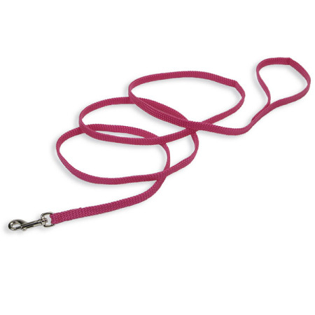 Coastal Sunburst Leash КОСТАЛ САНБАСТ поводок для собак, 1смХ1.8м, цвет фламинго