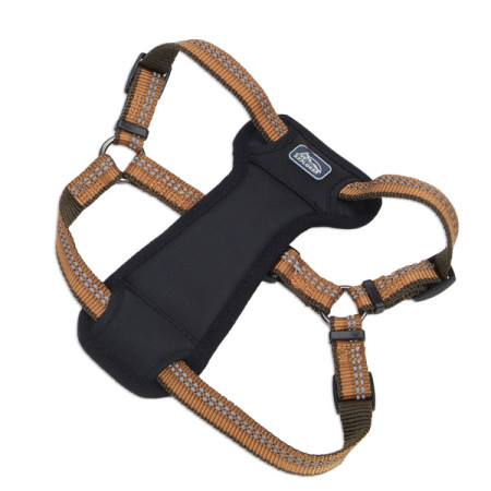 Coastal K9 Explorer Harness КОСТАЛ К9 ЭКСПЛОРЕР светоотражающая шлея с нагрудником для собак 2.3-4.5кг, цвет пламя