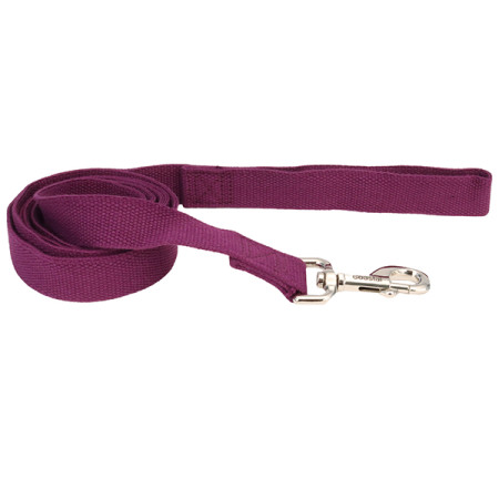 Coastal New Earth Soy Dog Leash КОСТАЛ СОЄВИЙ ЕКОПОВІДЕЦЬ для собакк, 2,5х1,8 м, колір фіолетовий