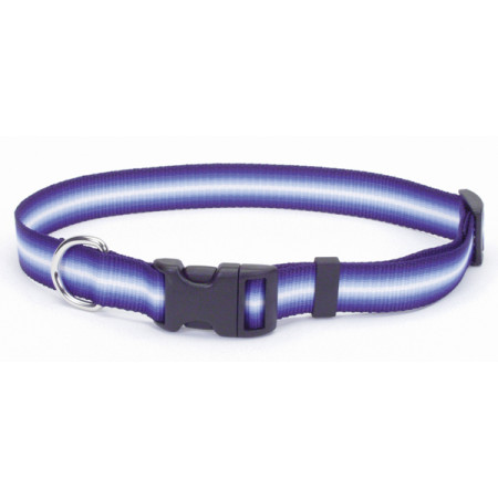 Coastal Trendz Graduated КОСТАЛ ГРАДИЕНТ нашийник для собак, 1х30см, цвет пурпурный
