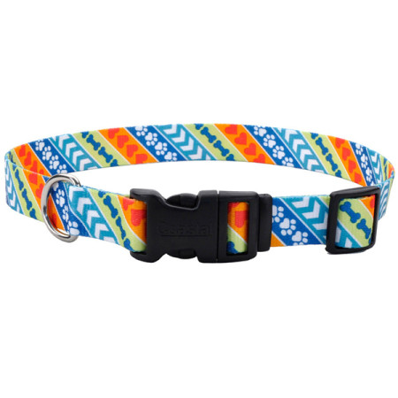 Coastal Pet Attire Styles КОСТАЛ СТАЙЛС ошейник для собак, цвет рескю