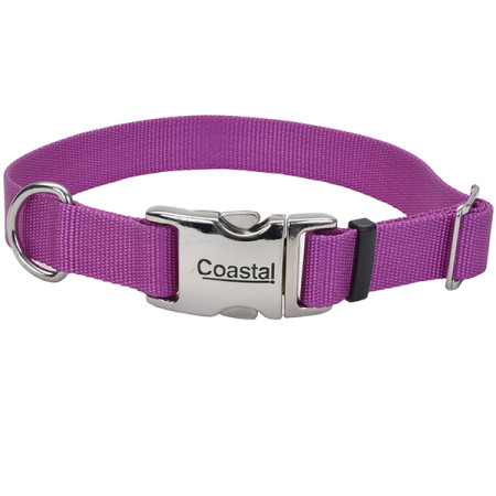 Coastal Titan Buckle КОСТАЛ ТИТАН БАКЛ ошейник для собак, 2х36-51см, цвет орхидея