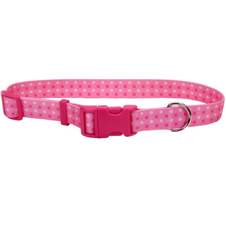 Coastal Pet Attire Styles КОСТАЛ СТАЙЛС ошейник для собак, 2.5х46-66см, цвет розовая точка