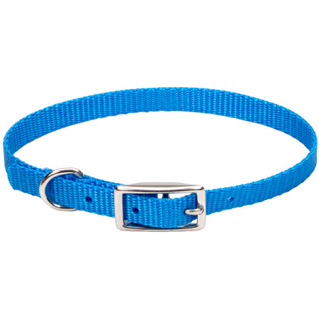 Coastal Nylon Web КОСТАЛ НАЙЛОН ВЕБ ошейник для собак, 1х25см, цвет голубая лагуна