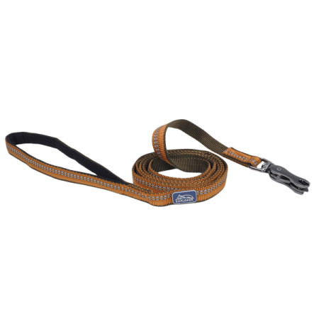Coastal K9 Explorer Leash КОСТАЛ К9 ЭКСПЛОРЕР светоотражающий поводок для собак, 1.6смХ1.8м, цвет пламя