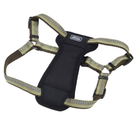 Coastal K9 Explorer Harness КОСТАЛ К9 ЭКСПЛОРЕР светоотражающая шлея с нагрудником для собак 2.3-4.5кг, цвет папоротник