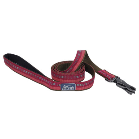 Coastal K9 Explorer Leash КОСТАЛ К9 ЭКСПЛОРЕР светоотражающий поводок для собак, 2.5смХ1.8м, цвет малиновый