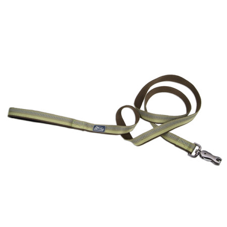 Coastal K9 Explorer Leash КОСТАЛ К9 ЭКСПЛОРЕР светоотражающий поводок для собак, 2.5смХ1.8м, цвет папортник