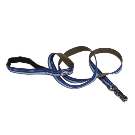 Coastal K9 Explorer Leash КОСТАЛ К9 ЭКСПЛОРЕР светоотражающий поводок для собак, 2.5смХ1.8м, цвет сапфировый