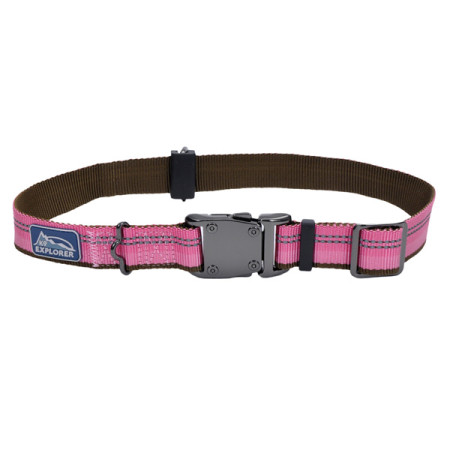 Coastal K9 Explorer Collar КОСТАЛ К9 ЭКСПЛОРЕР светоотражающий ошейник для собак, 2.5х46-66см, цвет розовый
