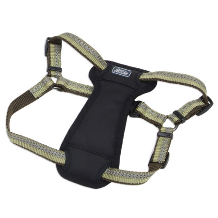 Coastal K9 Explorer Harness КОСТАЛ К9 ЭКСПЛОРЕР светоотражающая шлея с нагрудником для собак 11.3-22.6кг, цвет папоротник