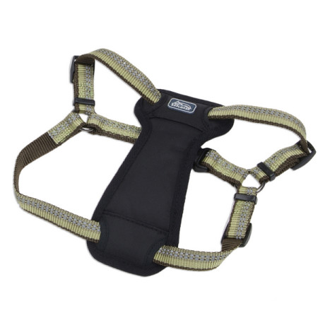 Coastal K9 Explorer Harness КОСТАЛ К9 ЭКСПЛОРЕР светоотражающая шлея с нагрудником для собак 20.4-45.3кг, цвет папоротник