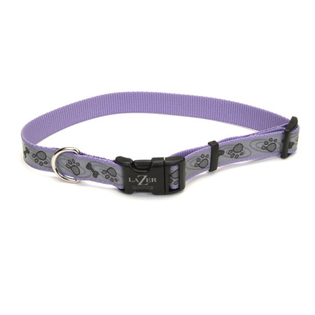 Coastal Lazer Brite Reflective Collar КОСТАЛ ЛАЗЕР БРАЙТ светоотражающий ошейник для собак, 1.6х30-46см, цвет лапа кость фиолетовый