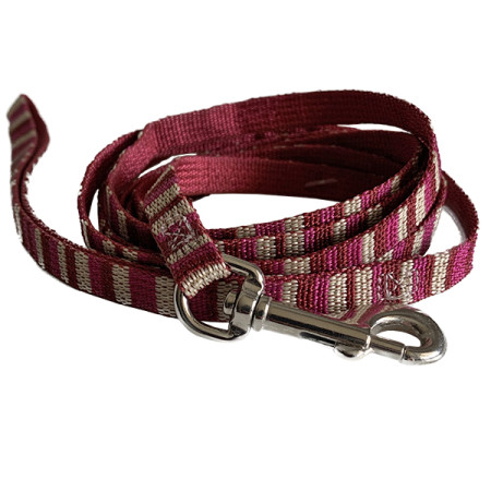 Coastal Pet Attire Weave КОСТАЛ повідець для собак, 1смХ1.8м, колір смужка
