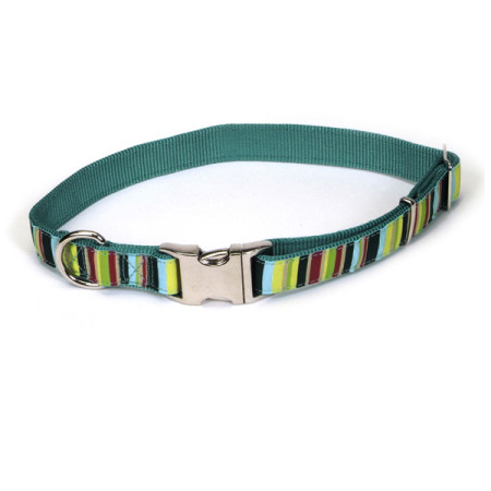 Coastal Pet Attire Ribbon КОСТАЛ РИББОН ошейник для собак, 2.5х46-66см, цвет мультиколор