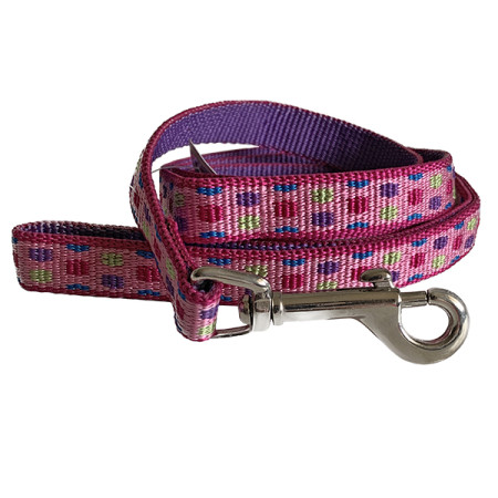 Coastal Pet Attire Weave КОСТАЛ повідець для собак, 1.6смХ1.2м, колір крапка