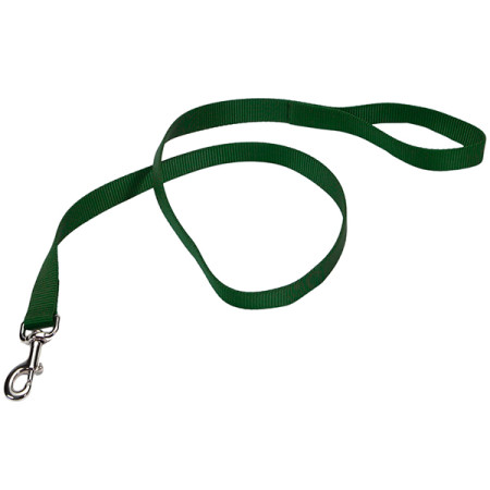 Coastal Nylon Training КОСТАЛ НАЙЛОН повідець для собак, нейлон, колір хакі