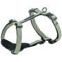 Шлея Trixie CityStyle H-harness для собак хлопок L–XL 75–120 см 25 мм светло-серая