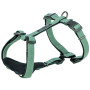 Шлея Trixie CityStyle H-harness для собак хлопок XS–S 30–44 см 10 мм светло-зеленая