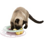Игрушка Trixie для котят Круг с шарами 24 см