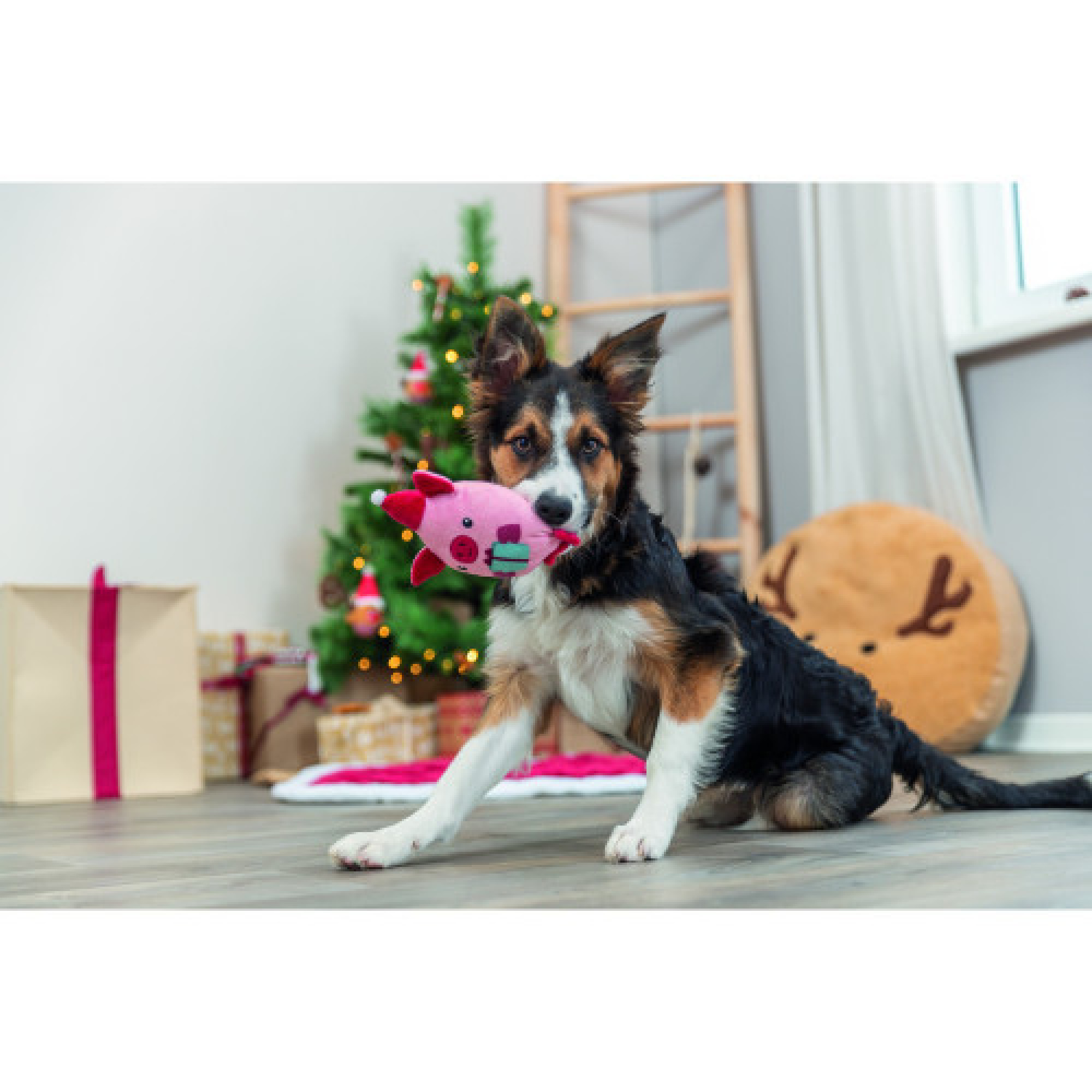 Игрушка Trixie для собак Рождественская свинка плюш 19 см
