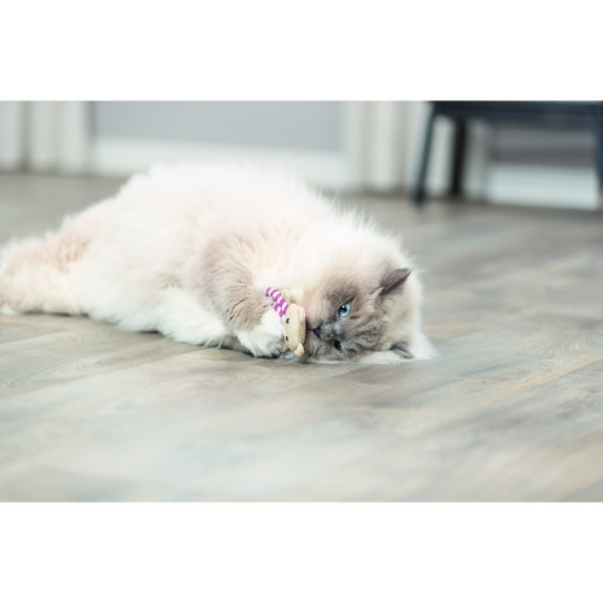 Игрушка Trixie для кошек Медведь ткань с кошачьей мятой 12 см