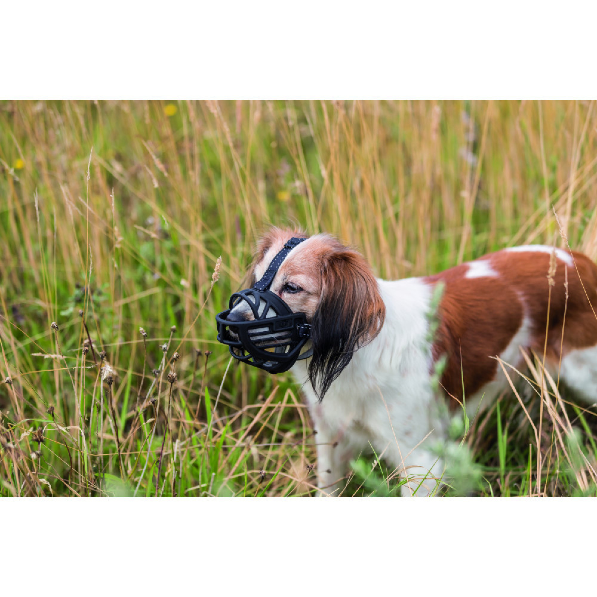 Намордник Trixie Muzzle Flex XL–XXL черный