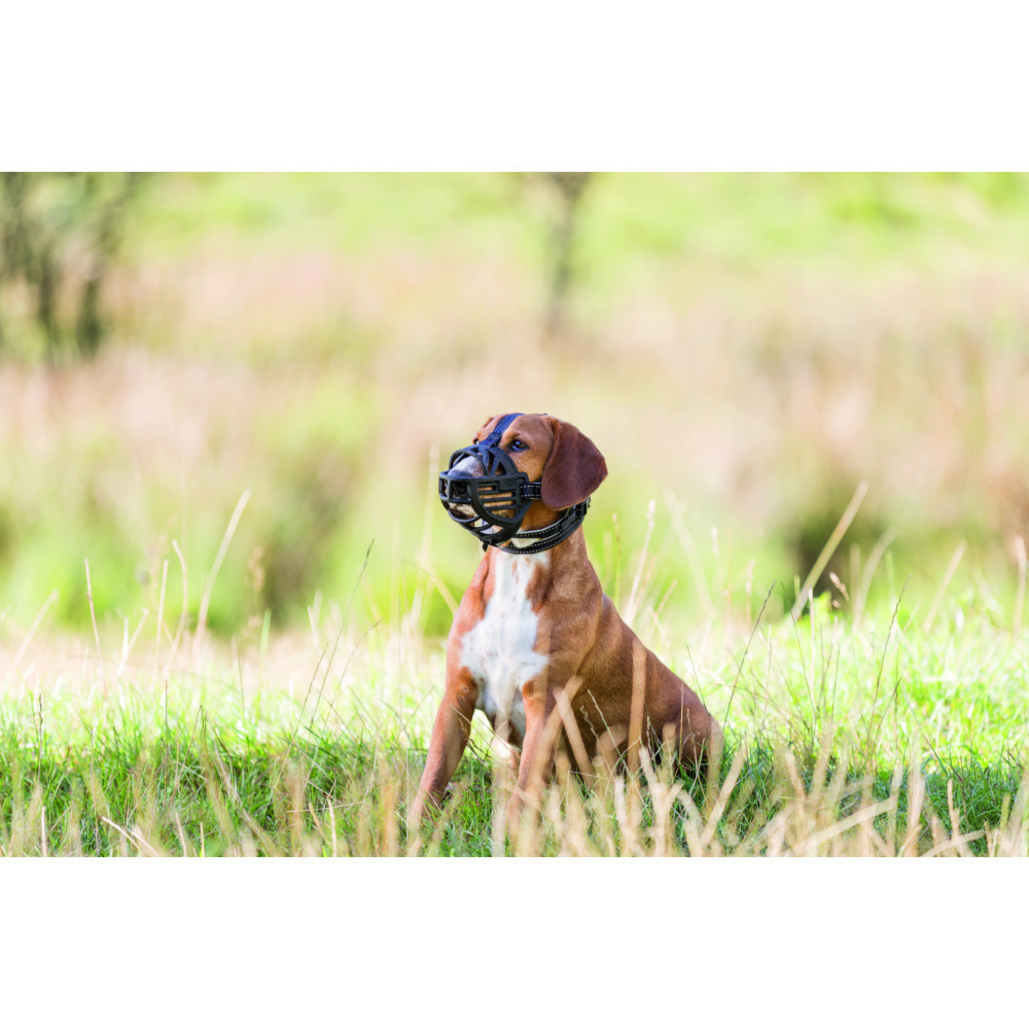Намордник Trixie Muzzle Flex XL–XXL черный