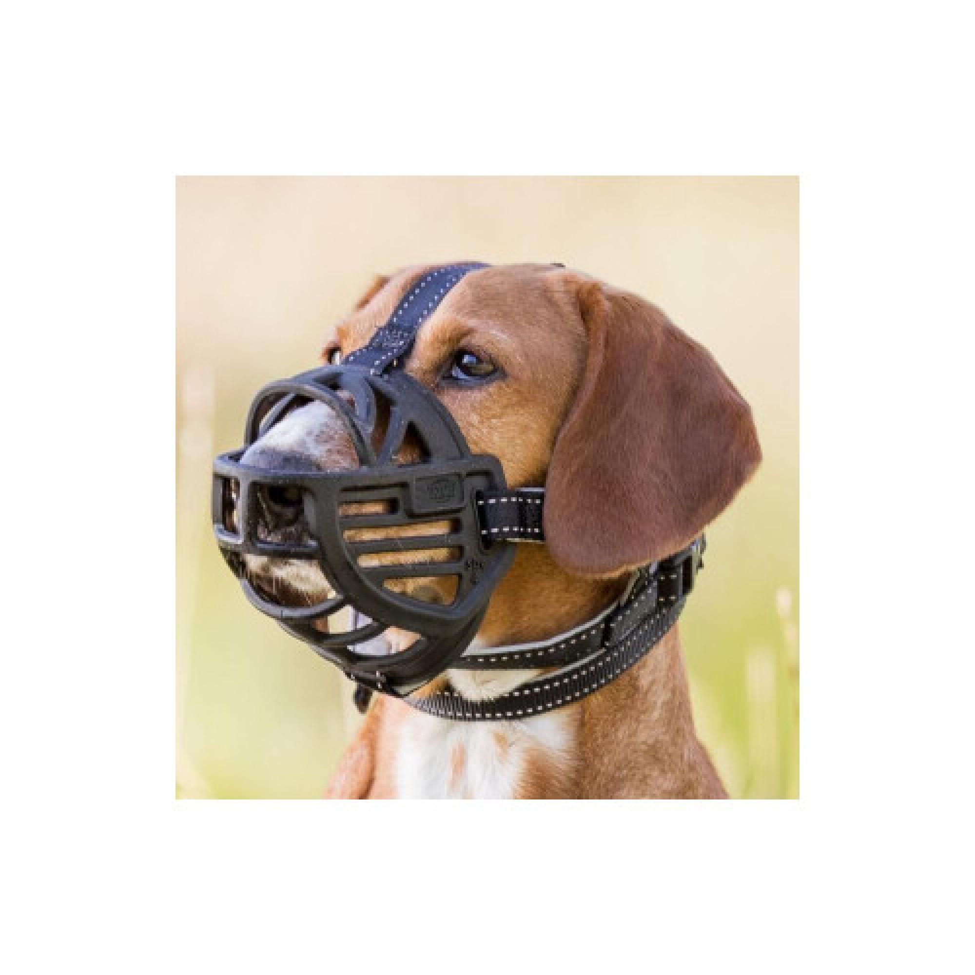 Намордник Trixie Muzzle Flex для собак чорний силикон M-L 27 см
