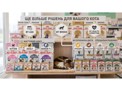 Как выбрать Royal Canin для кошки: по возрасту, породе и состоянию здоровья