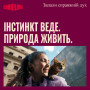 Лакомство Carnilove Crunchy Snack Salmon with Catnip для кошек хрустящие лосось и кошачья мята 50 г