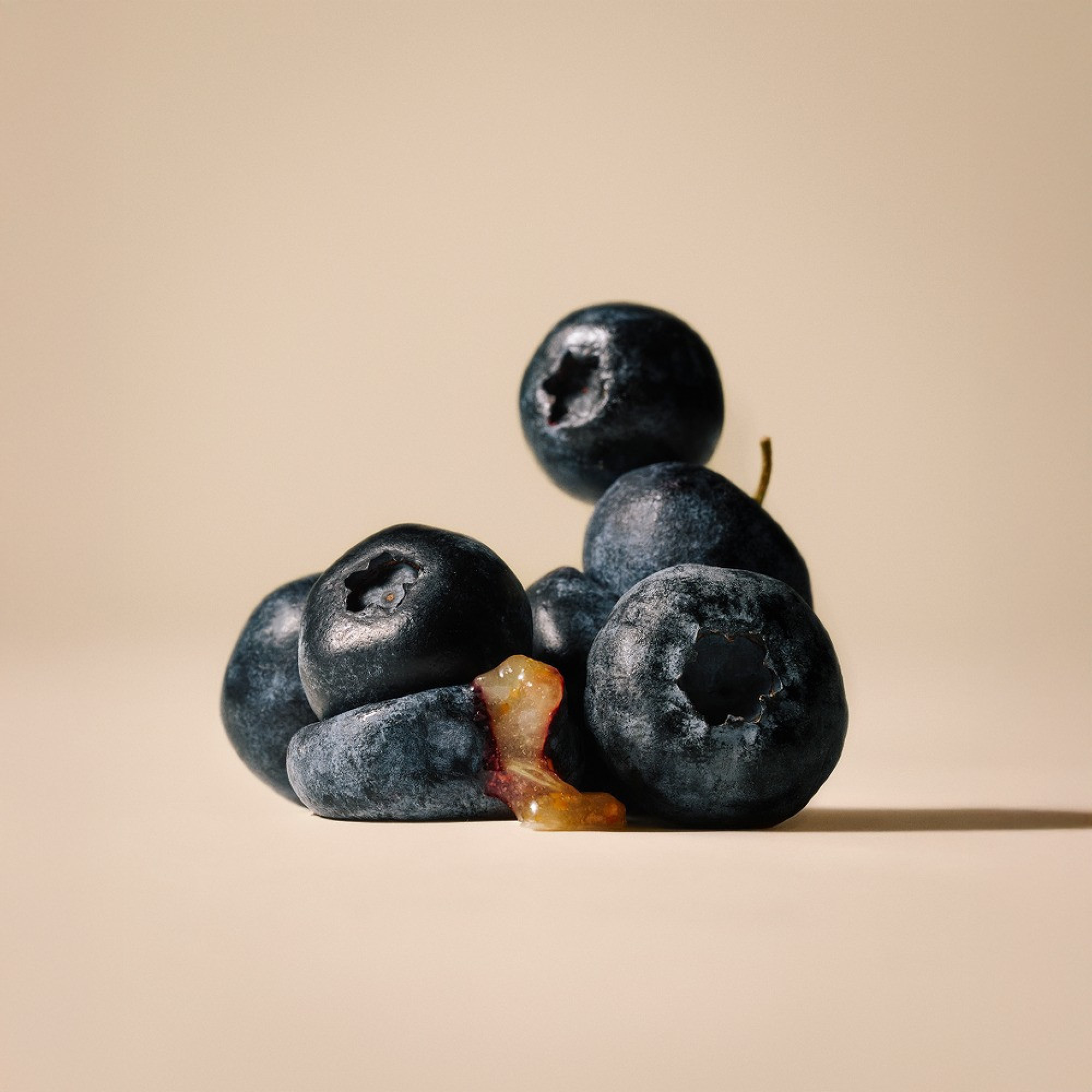 Лакомство Carnilove Soft Snack Buffallo with Blueberries для кошек мягкие буйвол и голубика 50 г