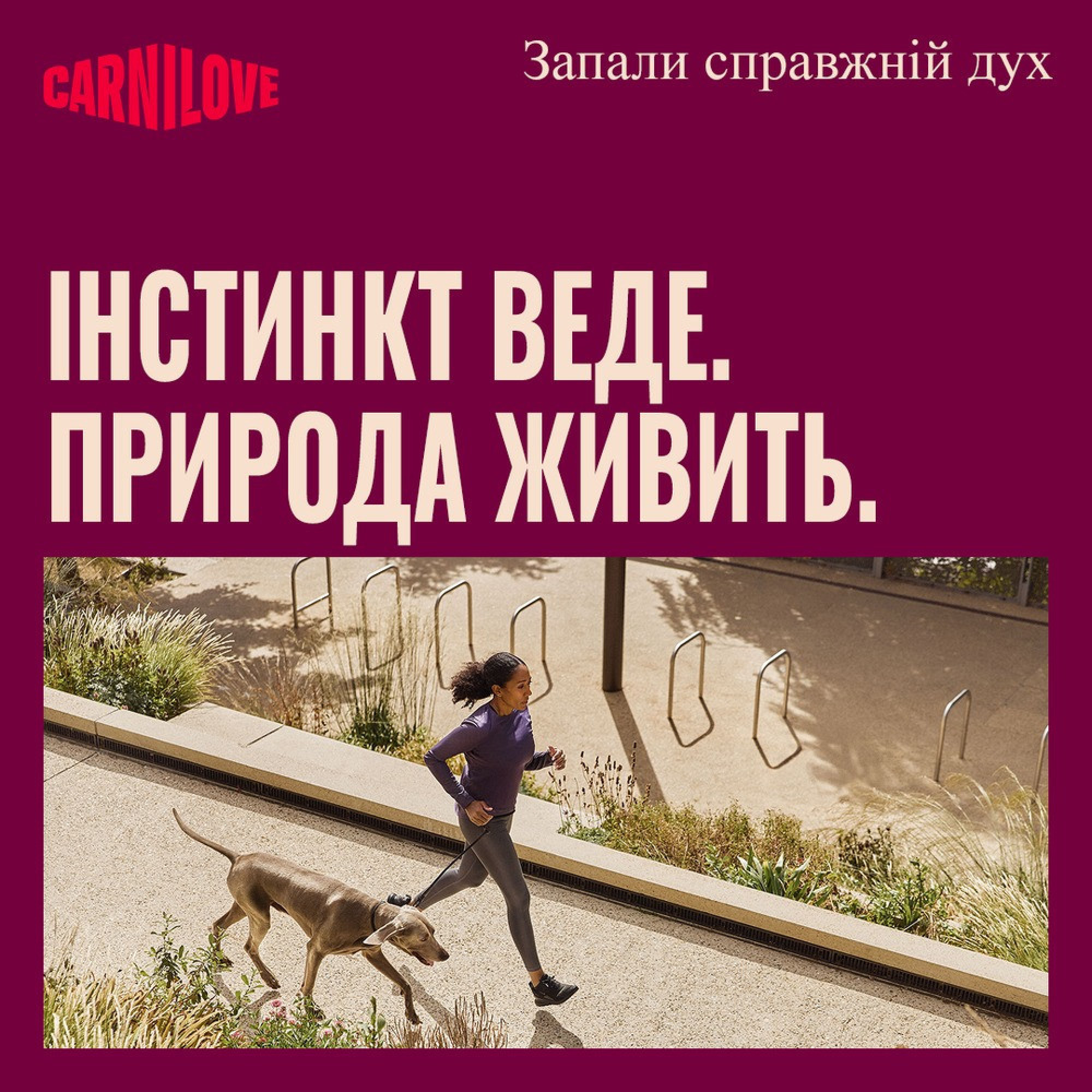 Ласощі Carnilove Crunchy Snack Lamb with Cranberries для собак хрусткі ягня і журавлина 200 г