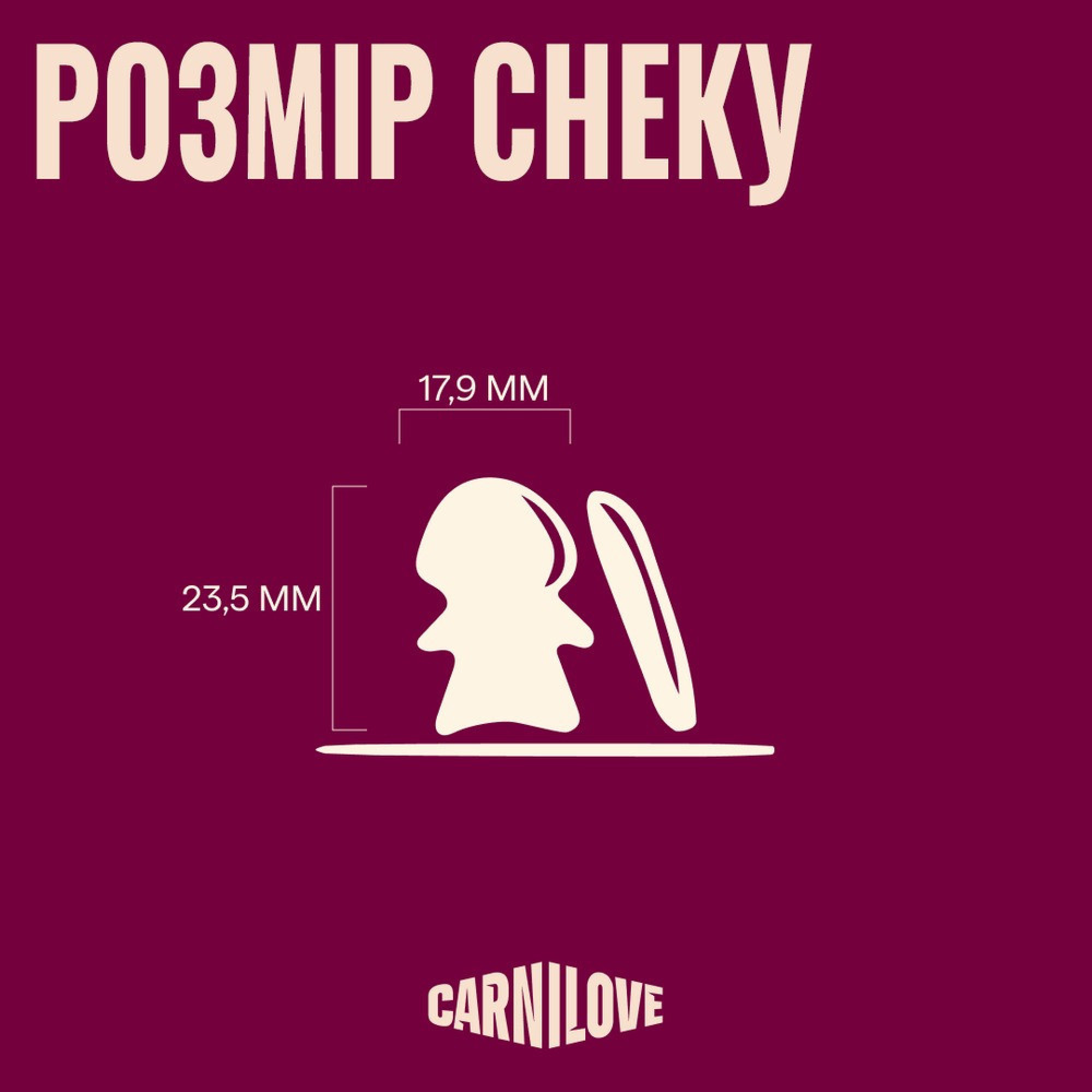 Ласощі Carnilove Crunchy Snack Mackerel with Raspberries для собак хрусткі скумбрія і малина 200 г