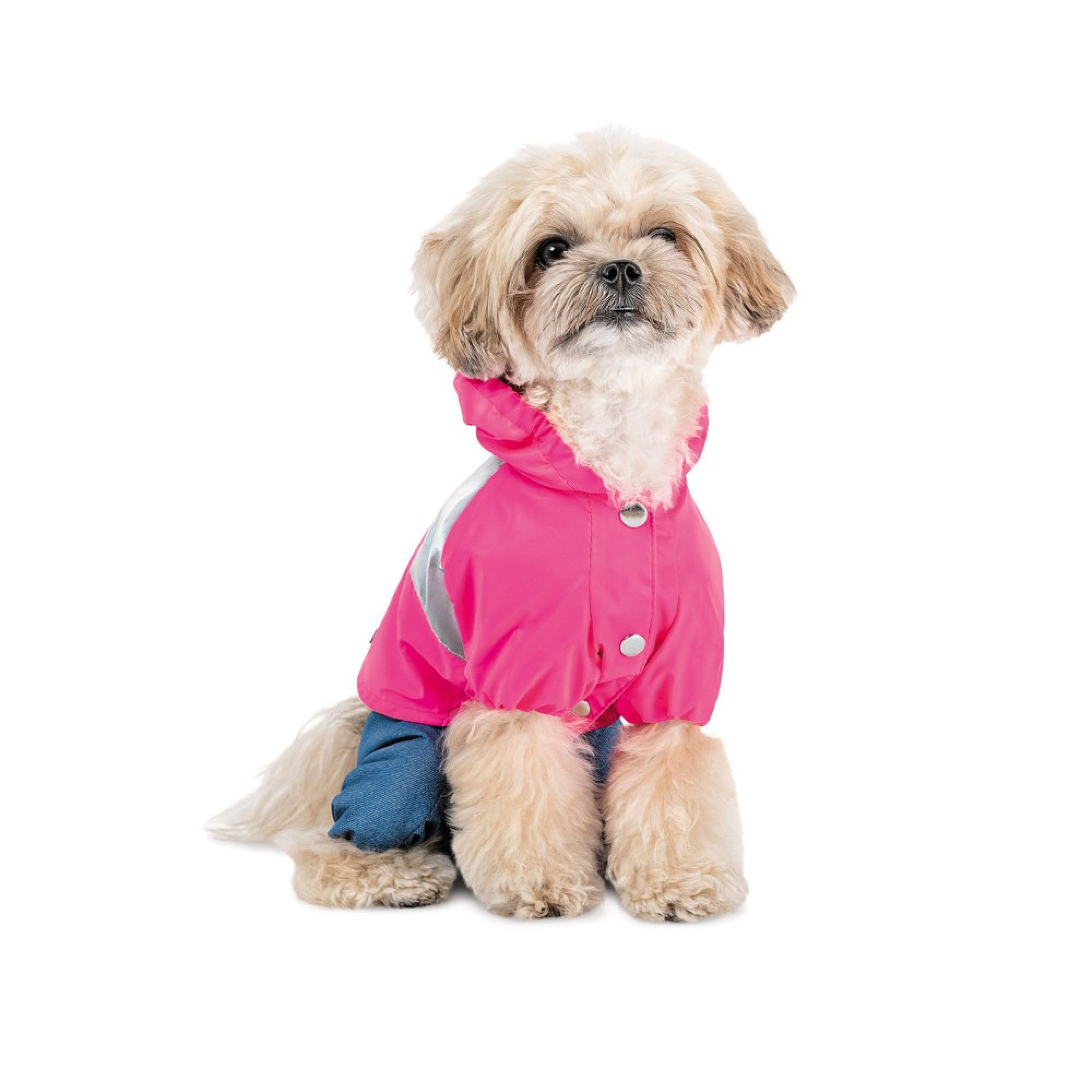 Дощовик Betty ХS Pet Fashion для собак дівчинка