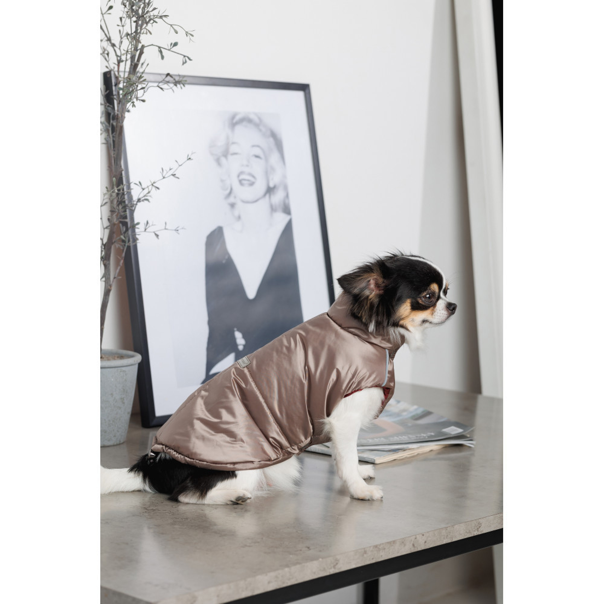 Жилет Pet Fashion Hardy для собак утеплений водонепроникний з отвором для повідця бежевий розмір M