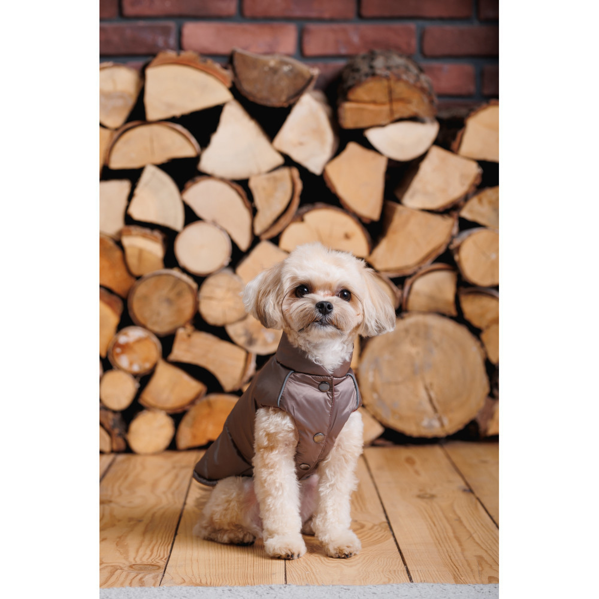 Жилет Pet Fashion Hardy для собак утеплений водонепроникний з отвором для повідця бежевий розмір M
