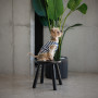 Майка Pet Fashion Tropic для собак XS