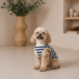 Майка Pet Fashion Tropic для собак XS