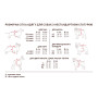 Дощовик Marlie ХS такса для собак