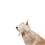 Панама Pet Fashion Gold для собак XS