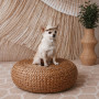 Панама Pet Fashion Gold для собак XS
