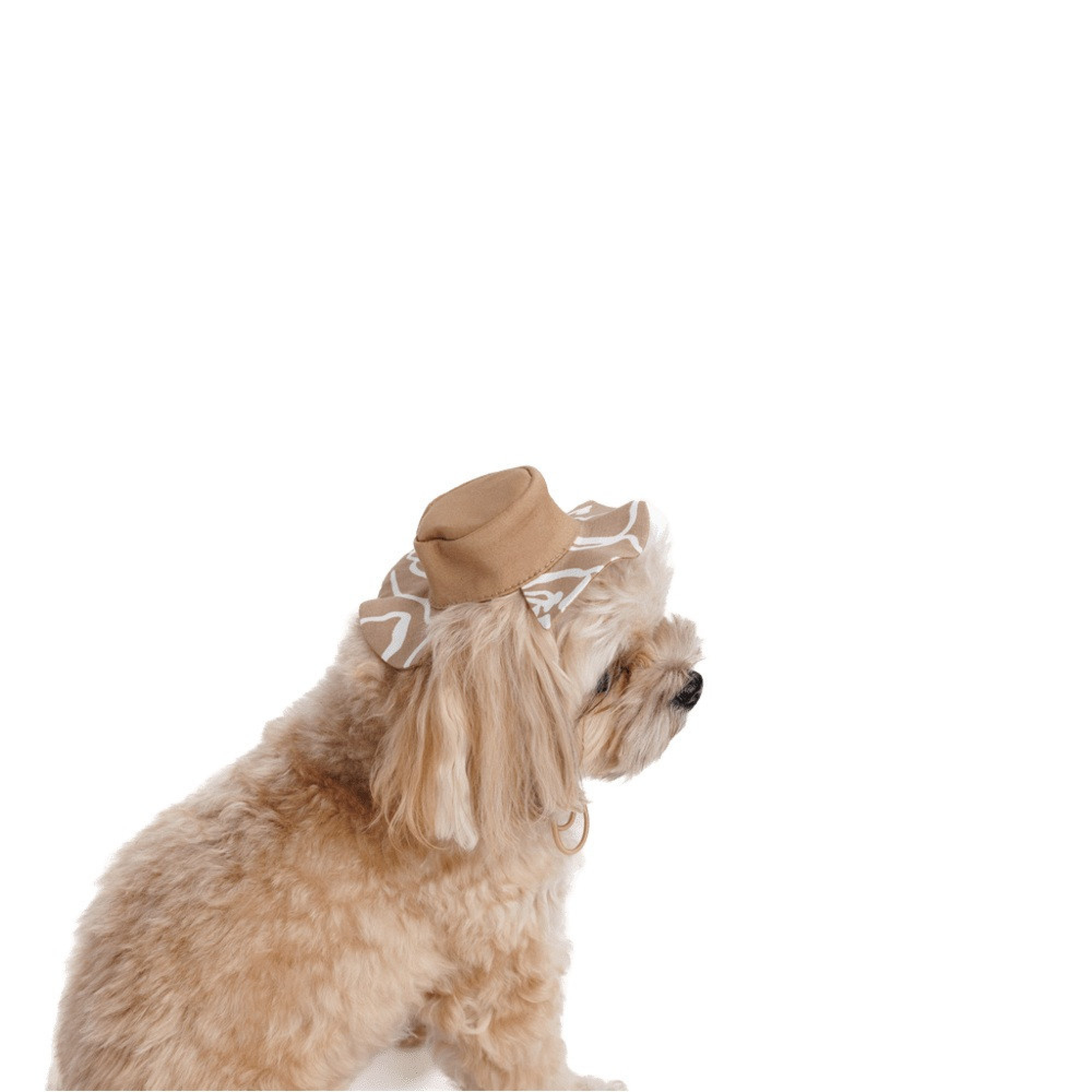 Панама Pet Fashion Print для собак M