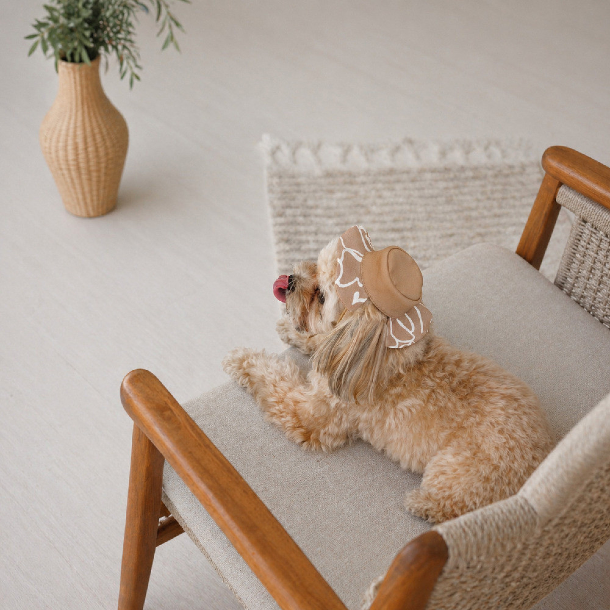 Панама Pet Fashion Print для собак M