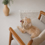 Панама Pet Fashion Print для собак M