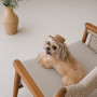 Панама Pet Fashion Print для собак M