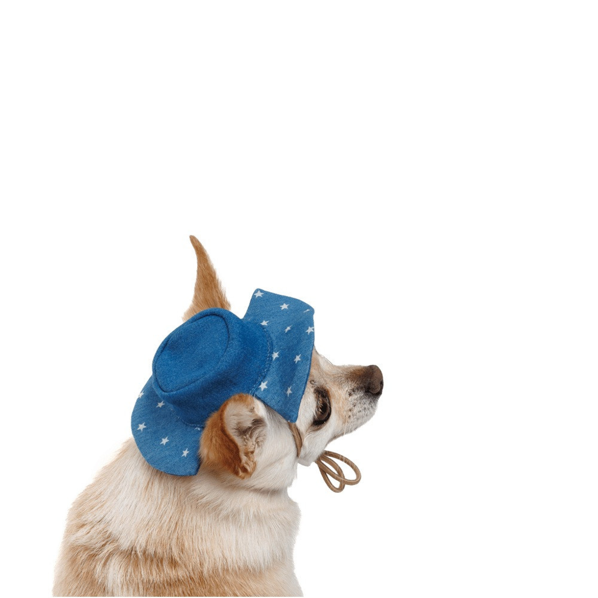 Панама Pet Fashion Stars для собак M