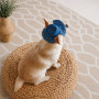 Панама Pet Fashion Stars для собак M