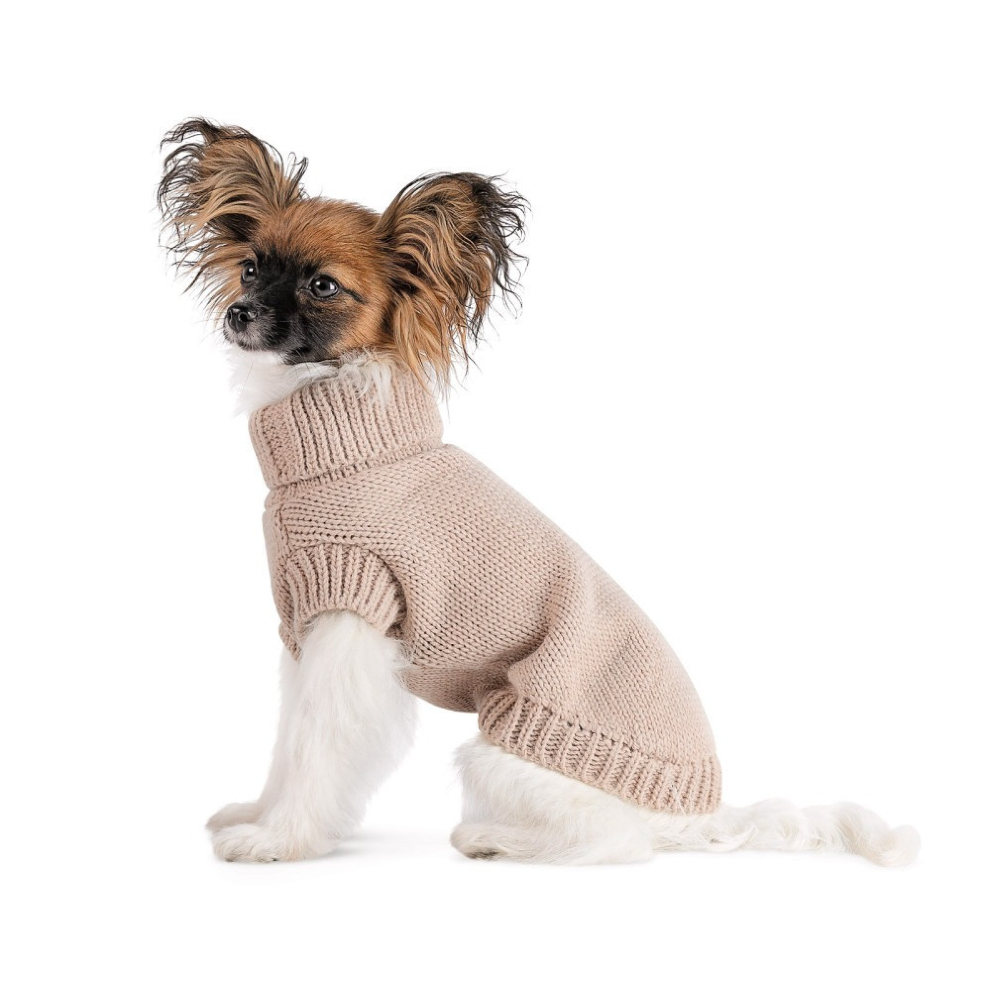 Светр Sam Pet Fashion для собак, розмір XS бежевий